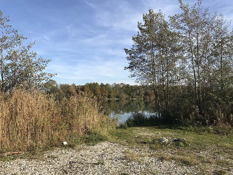 Marzlinger Weiher - Impressionen aus den Jahren 2017 und 2018