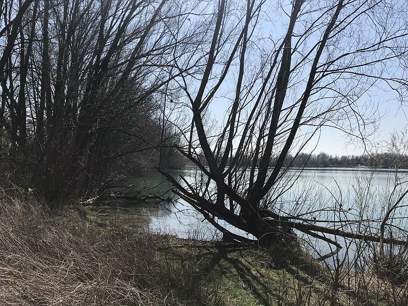 Marzlinger Weiher - Impressionen aus den Jahren 2017 und 2018