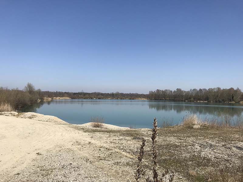 Marzlinger Weiher - Impressionen aus den Jahren 2017 und 2018