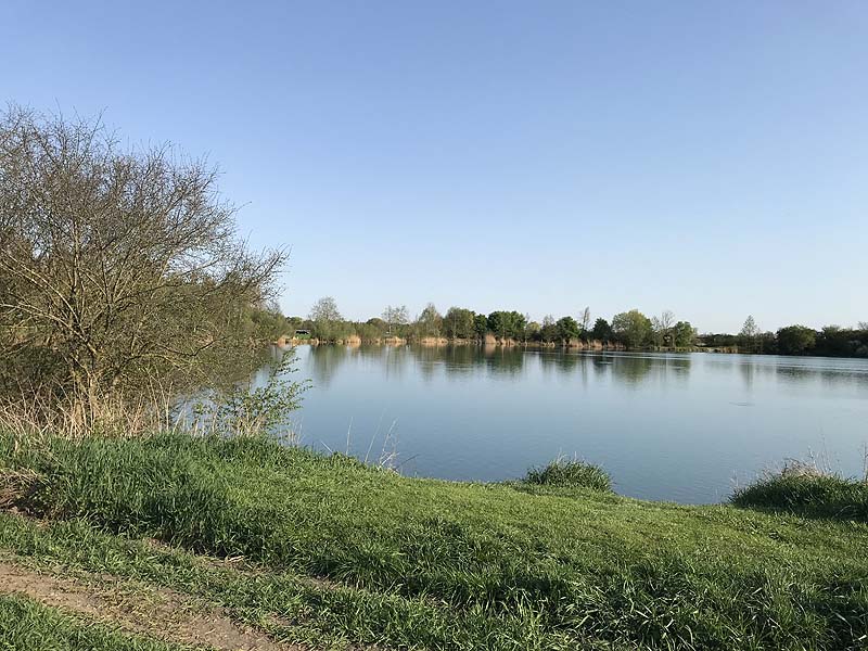 Marzlinger Weiher - Impressionen aus den Jahren 2017 und 2018