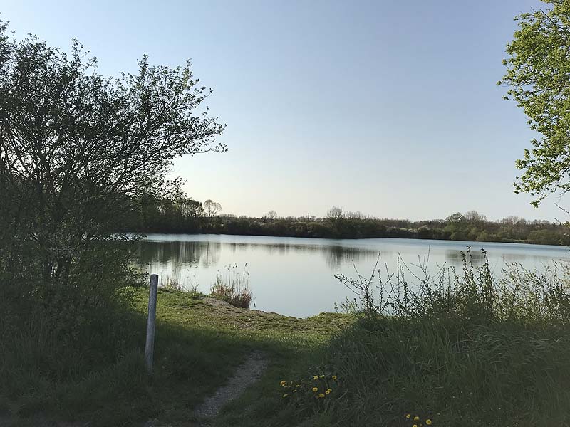 Marzlinger Weiher - Impressionen aus den Jahren 2017 und 2018