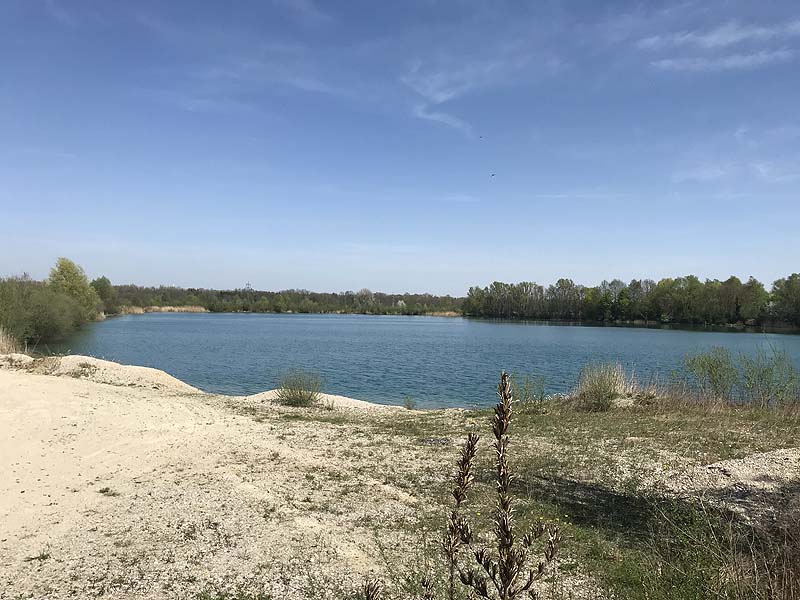 Marzlinger Weiher - Impressionen aus den Jahren 2017 und 2018