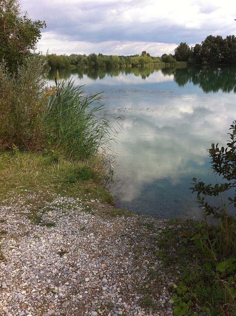 Der Marzlinger Weiher bei Freising 2010