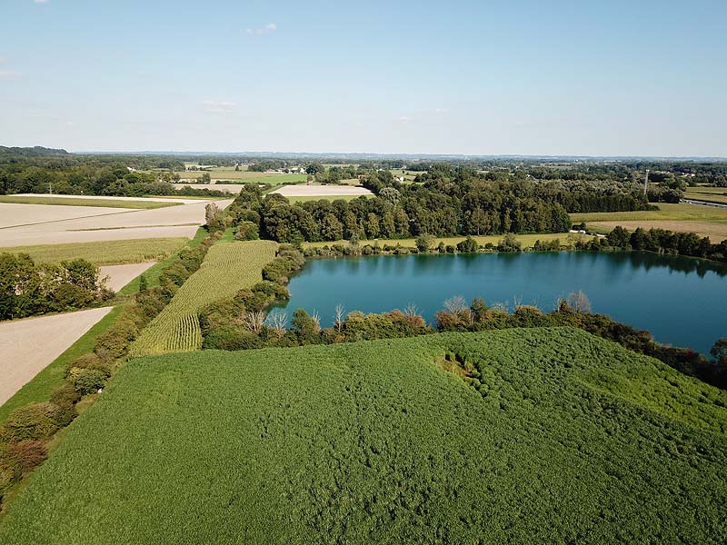 Luftaufnahme vom Marzlinger Weiher in Freising