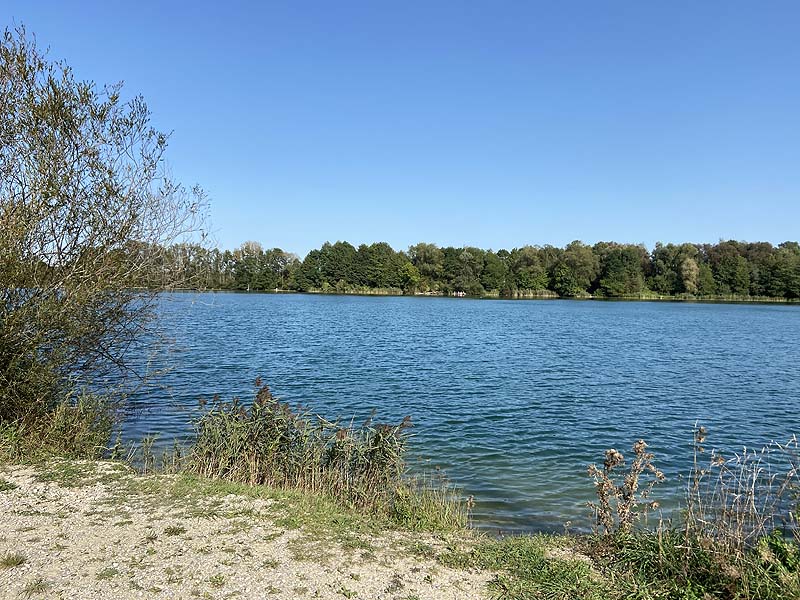 Der Marzlinger Weiher aus dem Jahr 2020