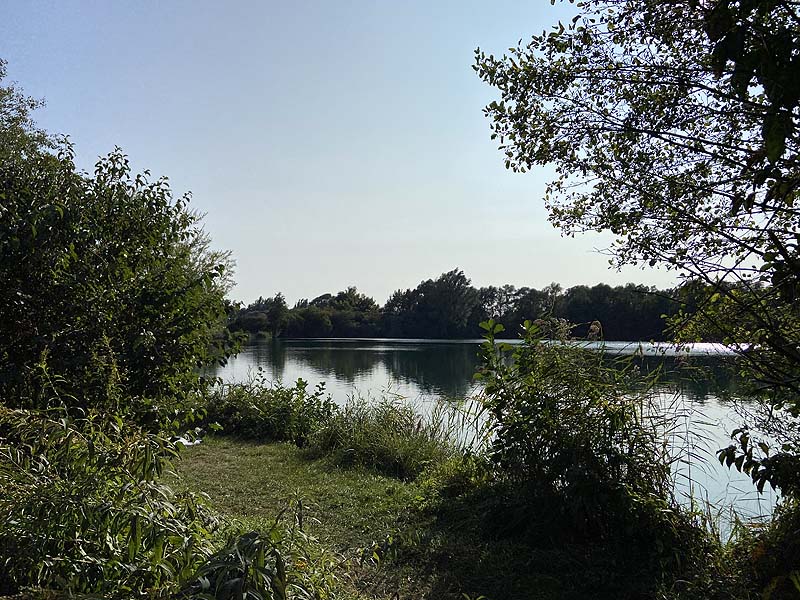 Der Marzlinger Weiher aus dem Jahr 2020
