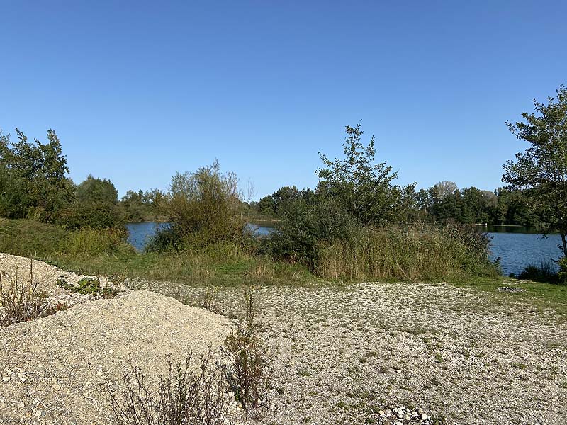Der Marzlinger Weiher aus dem Jahr 2020
