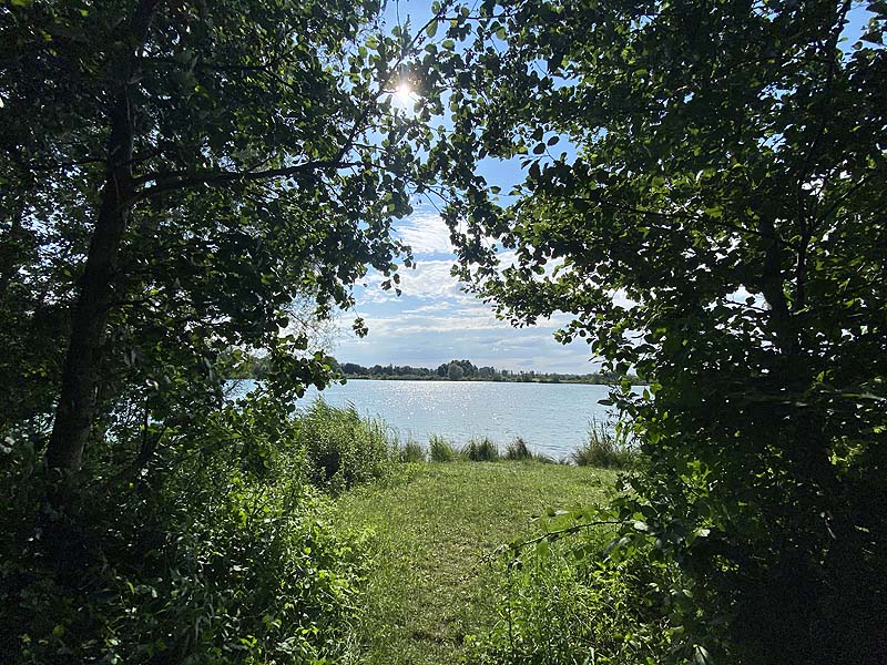 Der Marzlinger Weiher aus dem Jahr 2020