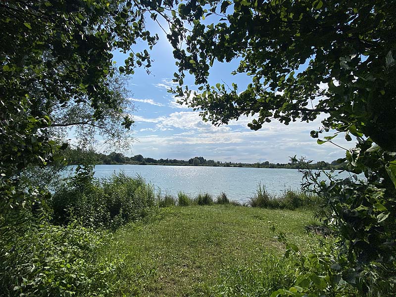 Der Marzlinger Weiher aus dem Jahr 2020