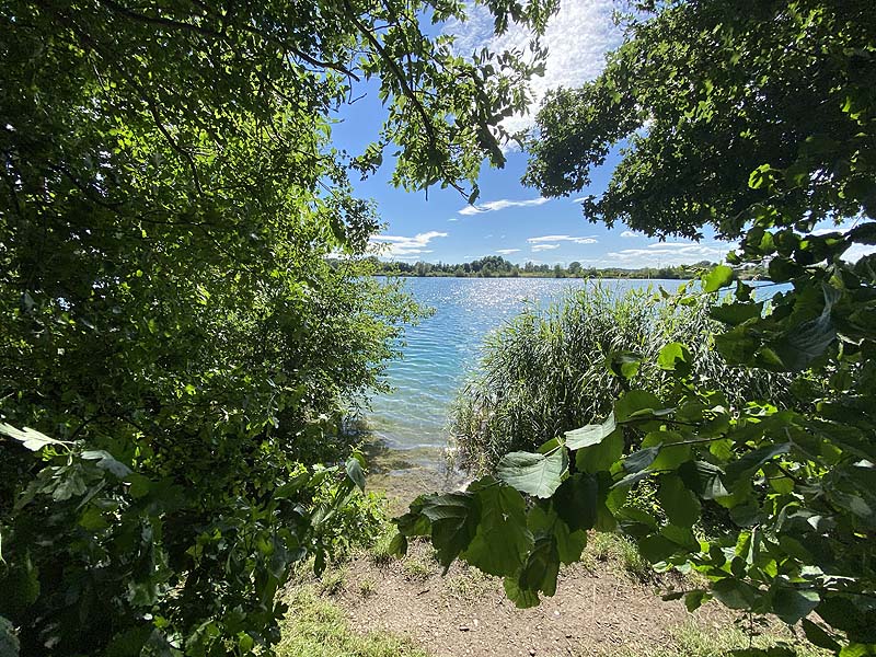 Der Marzlinger Weiher aus dem Jahr 2020