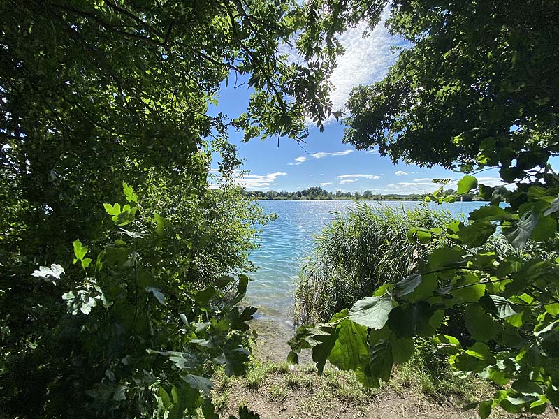 Der Marzlinger Weiher aus dem Jahr 2020