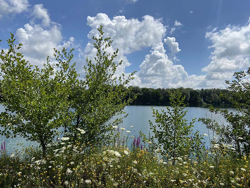 Der Marzlinger Weiher aus dem Jahr 2020