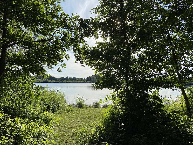 Der Marzlinger Weiher aus dem Jahr 2020