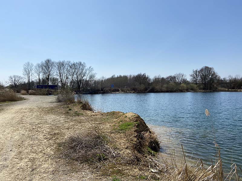 Der Marzlinger Weiher bei Freising im Jahr 2021