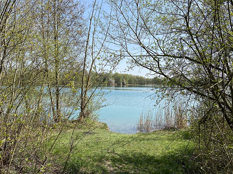 Der Marzlinger Weiher bei Freising im Jahr 2021