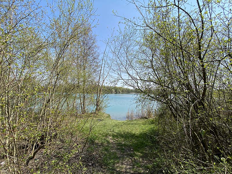 Der Marzlinger Weiher bei Freising im Jahr 2021