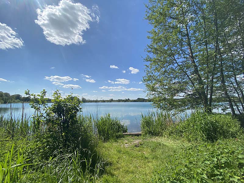 Der Marzlinger Weiher bei Freising im Jahr 2021