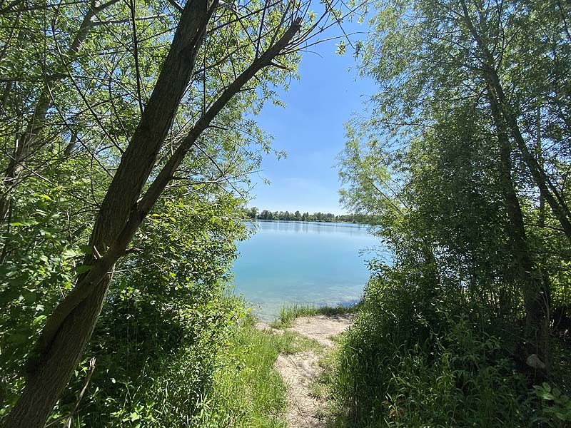 Der Marzlinger Weiher bei Freising im Jahr 2021