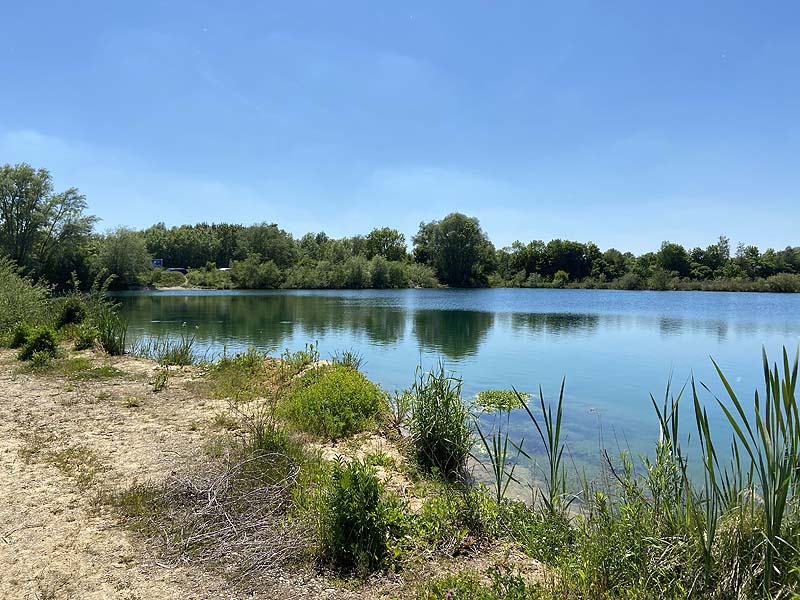 Der Marzlinger Weiher bei Freising im Jahr 2021