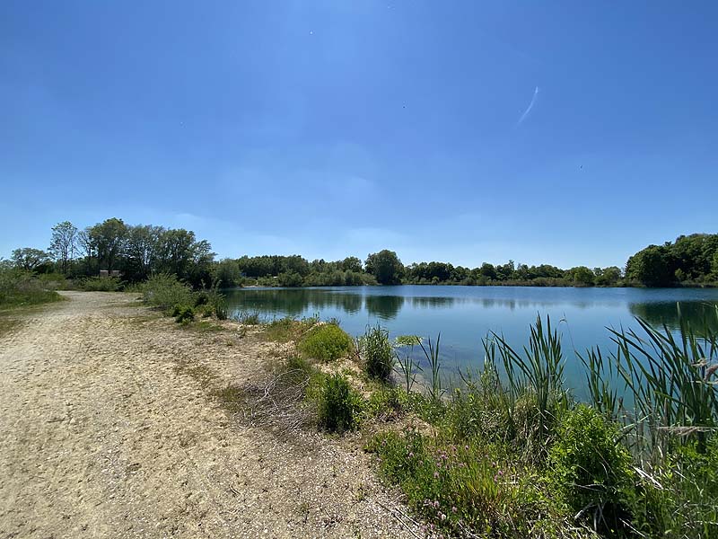 Der Marzlinger Weiher bei Freising im Jahr 2021