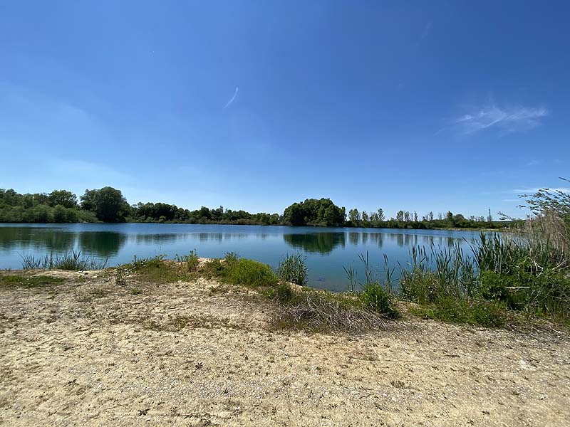 Der Marzlinger Weiher bei Freising im Jahr 2021