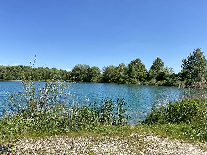 Der Marzlinger Weiher bei Freising im Jahr 2021