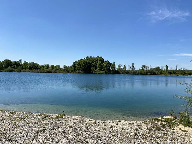 Der Marzlinger Weiher bei Freising im Jahr 2021