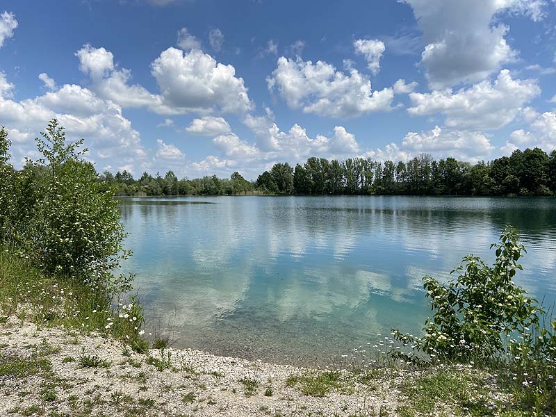 Der Marzlinger Weiher bei Freising im Jahr 2021