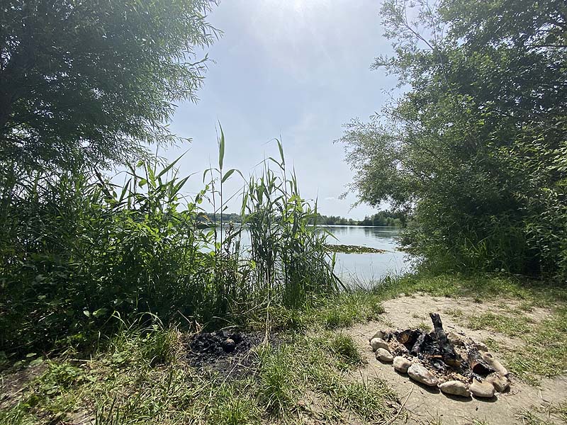 Der Marzlinger Weiher bei Freising im Jahr 2021