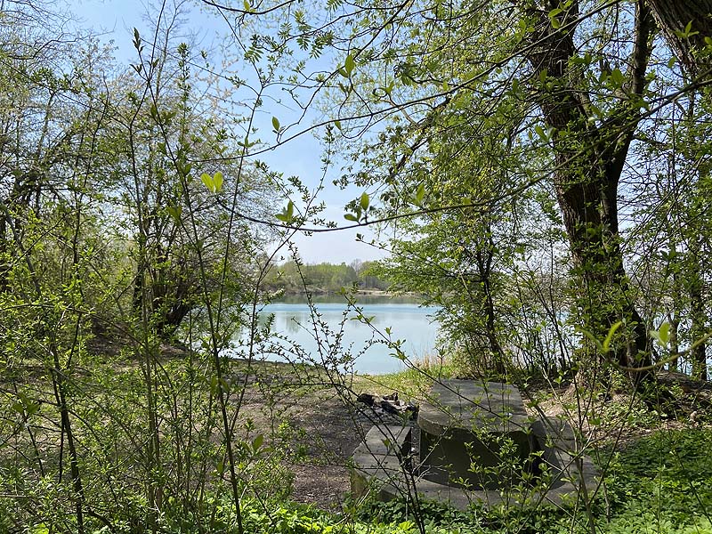 Der Marzlinger Weiher bei Freising im Jahr 2021