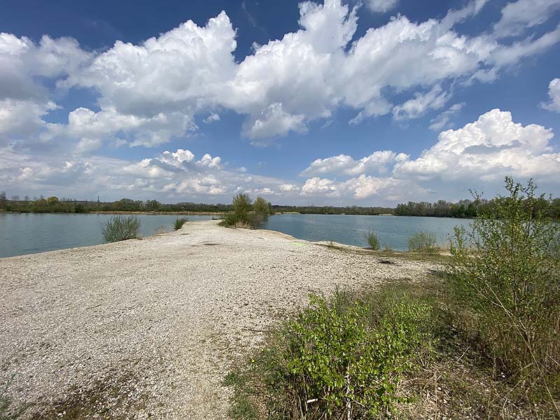 Der Marzlinger Weiher aus dem Jahr 2020