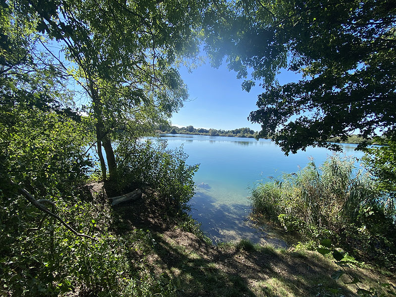 Der Marzlinger Weiher bei Freising im Jahr 2023