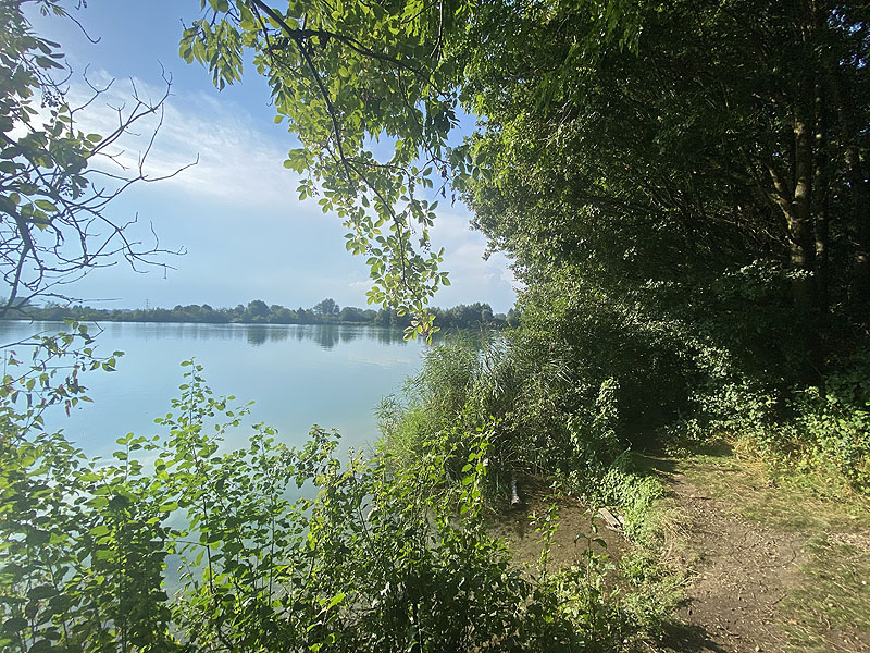 Der Marzlinger Weiher bei Freising im Jahr 2023