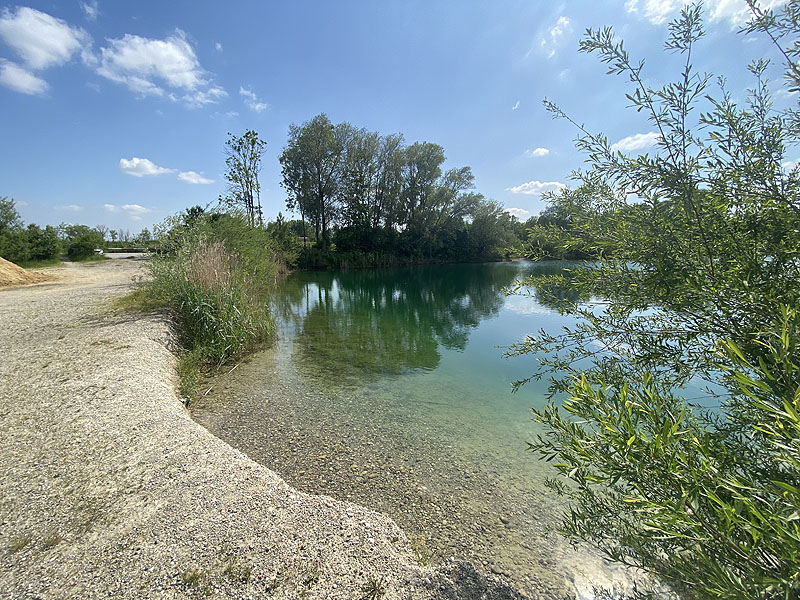 Der Marzlinger Weiher bei Freising im Jahr 2023