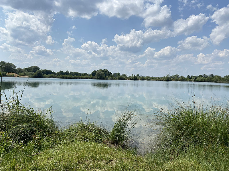 Der Marzlinger Weiher bei Freising im Jahr 2023