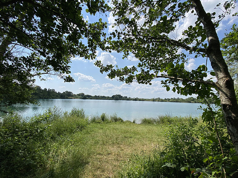 Der Marzlinger Weiher bei Freising im Jahr 2023