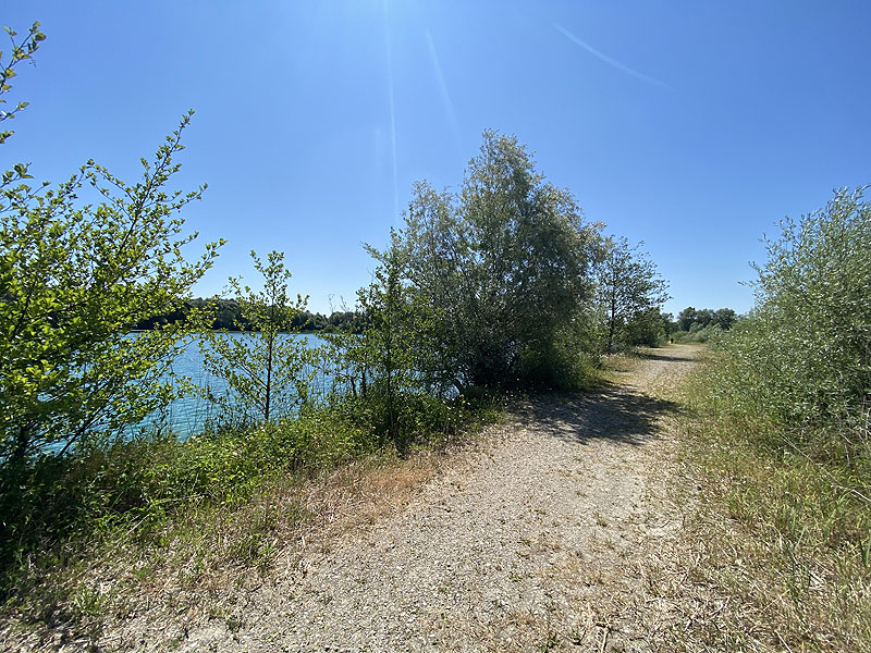 Der Marzlinger Weiher bei Freising im Jahr 2023