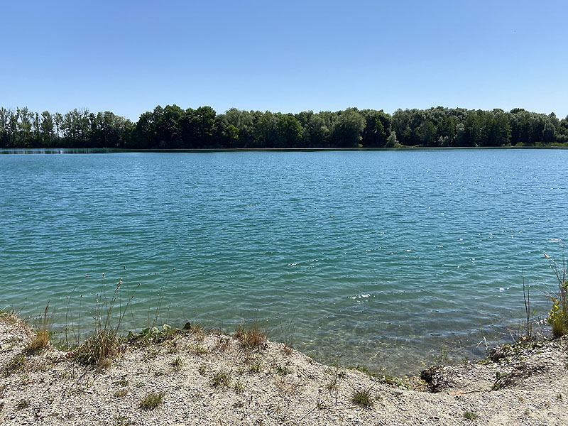 Der Marzlinger Weiher bei Freising im Jahr 2023