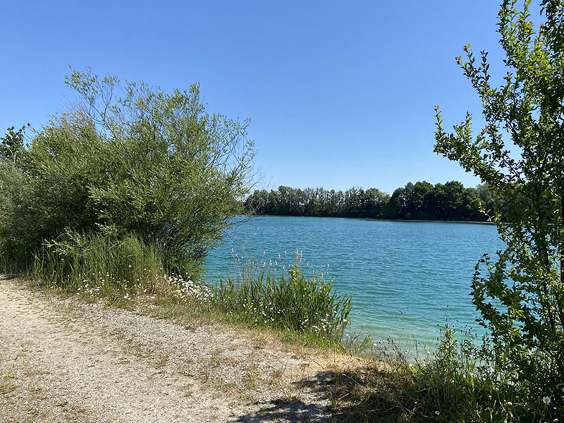 Der Marzlinger Weiher bei Freising im Jahr 2023