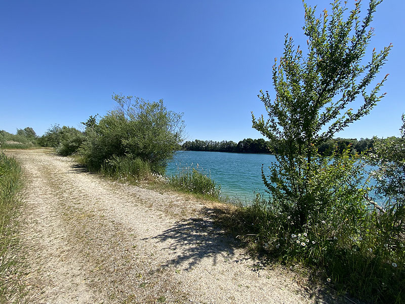 Der Marzlinger Weiher bei Freising im Jahr 2023