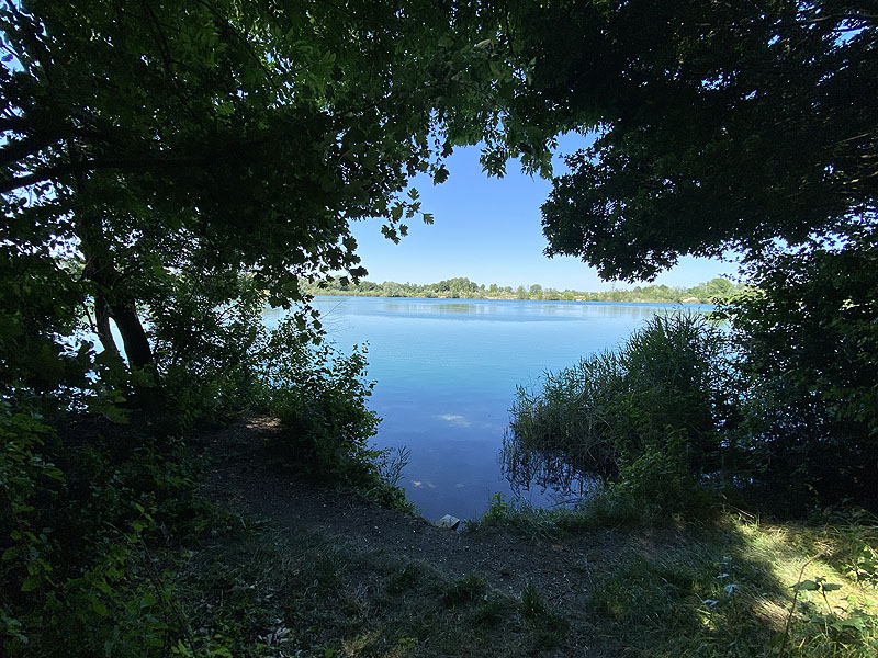 Der Marzlinger Weiher bei Freising im Jahr 2023