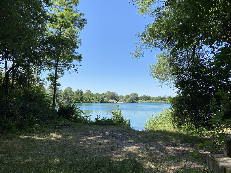 Der Marzlinger Weiher bei Freising im Jahr 2023