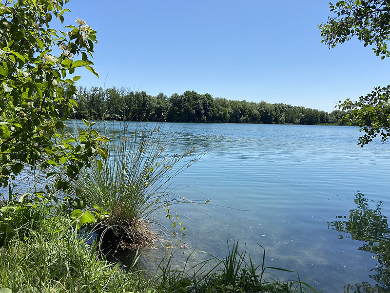 Der Marzlinger Weiher bei Freising im Jahr 2023