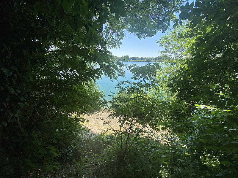 Der Marzlinger Weiher bei Freising im Jahr 2023