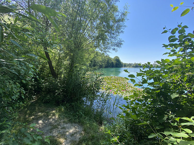 Der Marzlinger Weiher bei Freising im Jahr 2023