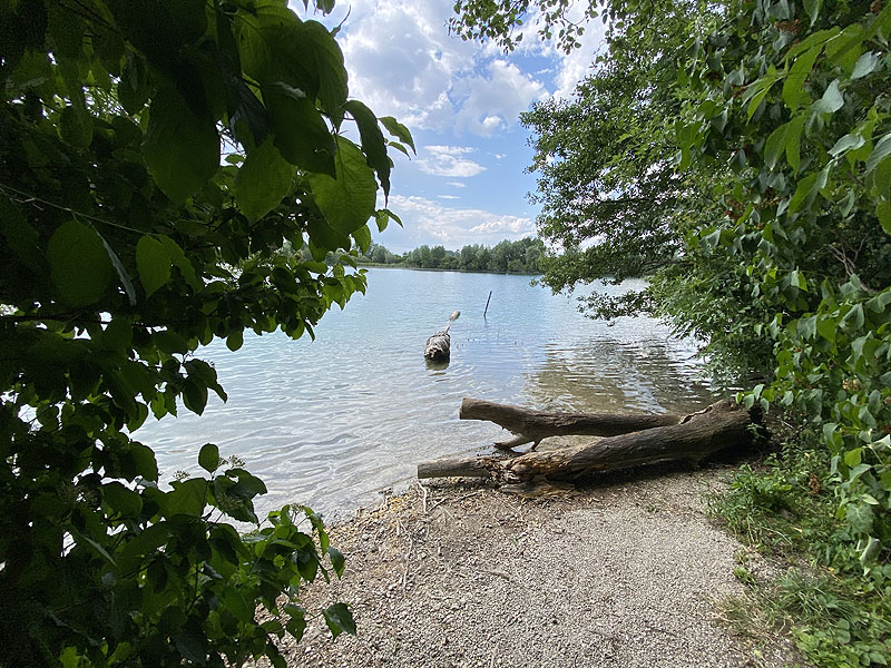 Der Marzlinger Weiher bei Freising im Jahr 2023