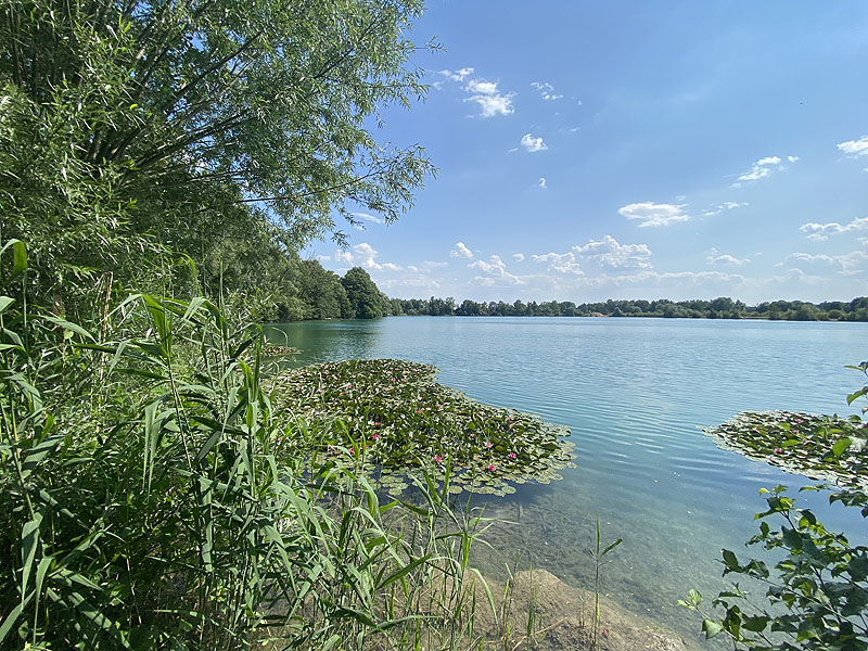 Der Marzlinger Weiher bei Freising im Jahr 2023