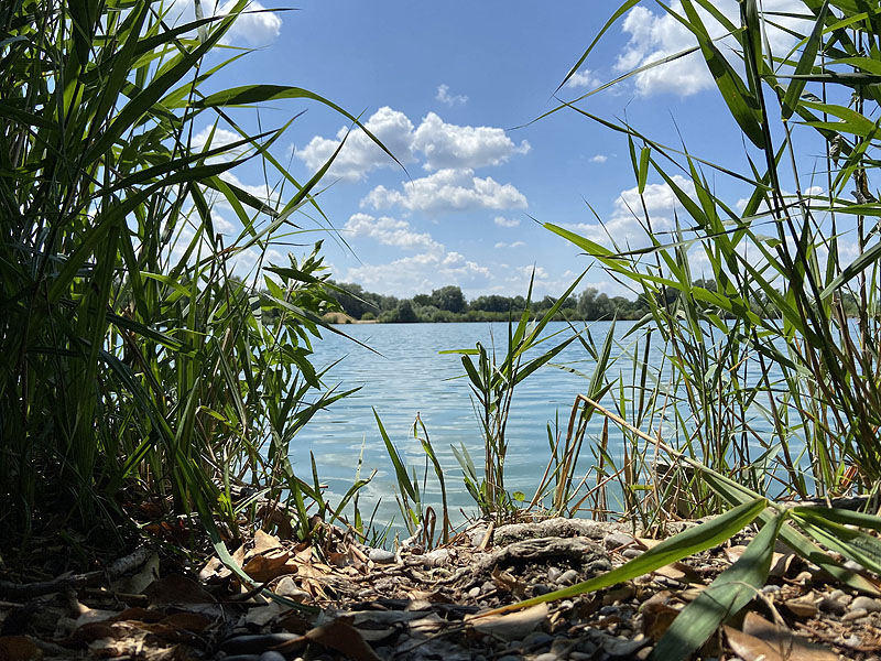 Der Marzlinger Weiher bei Freising im Jahr 2023