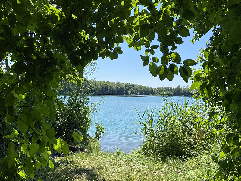 Der Marzlinger Weiher bei Freising im Jahr 2023