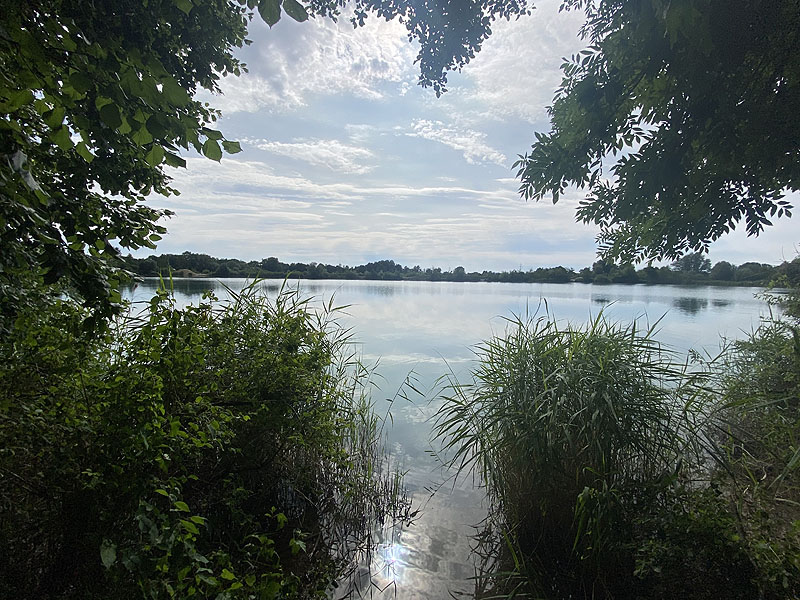 Der Marzlinger Weiher bei Freising im Jahr 2023